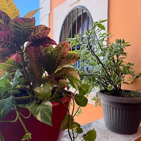 Hotel Casa Mallorca Канкун Экстерьер фото