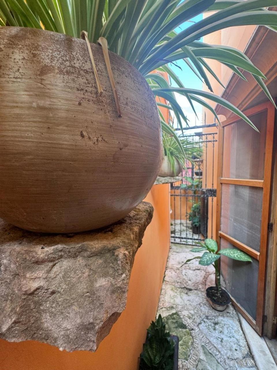 Hotel Casa Mallorca Канкун Экстерьер фото