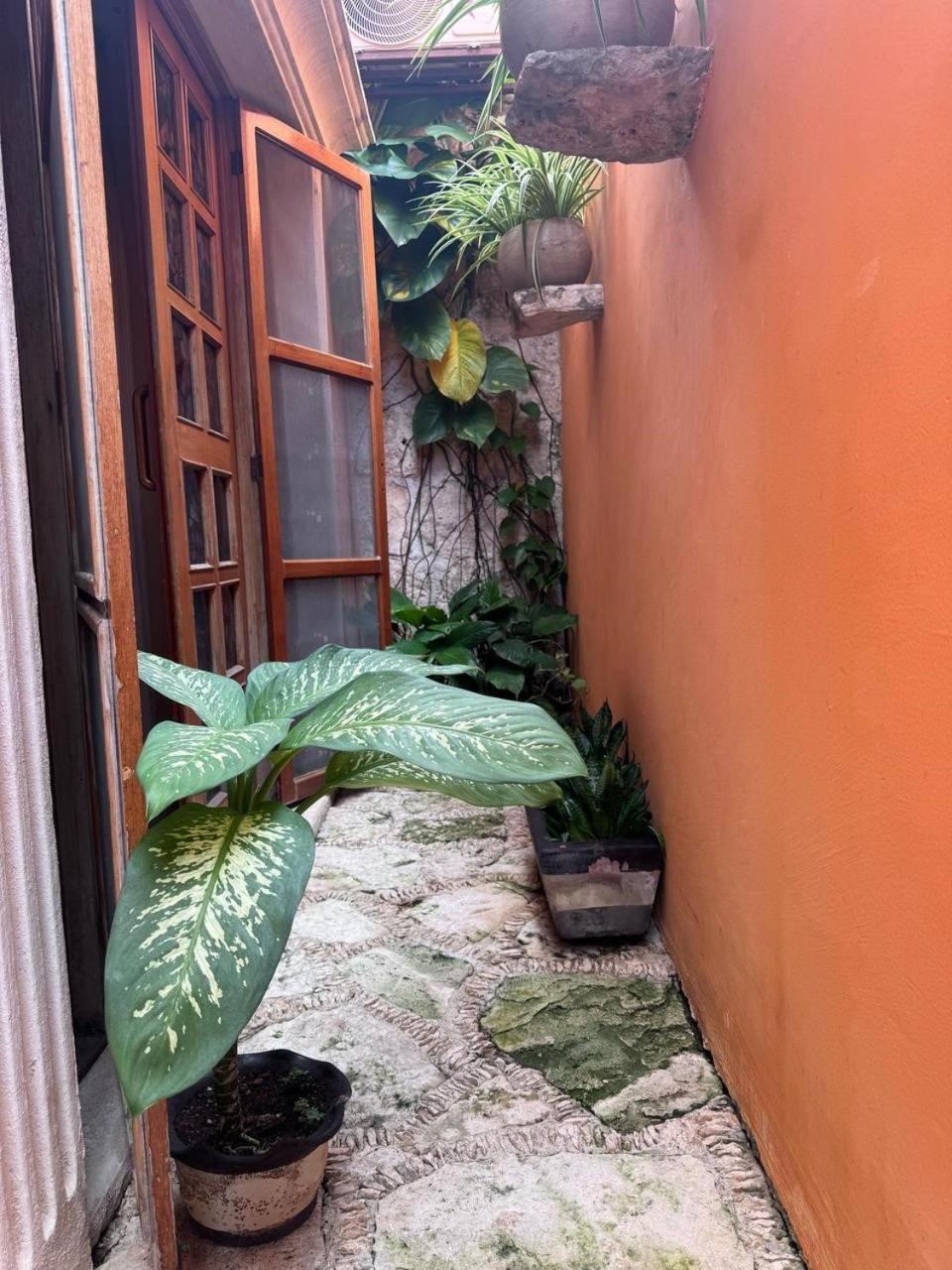 Hotel Casa Mallorca Канкун Экстерьер фото