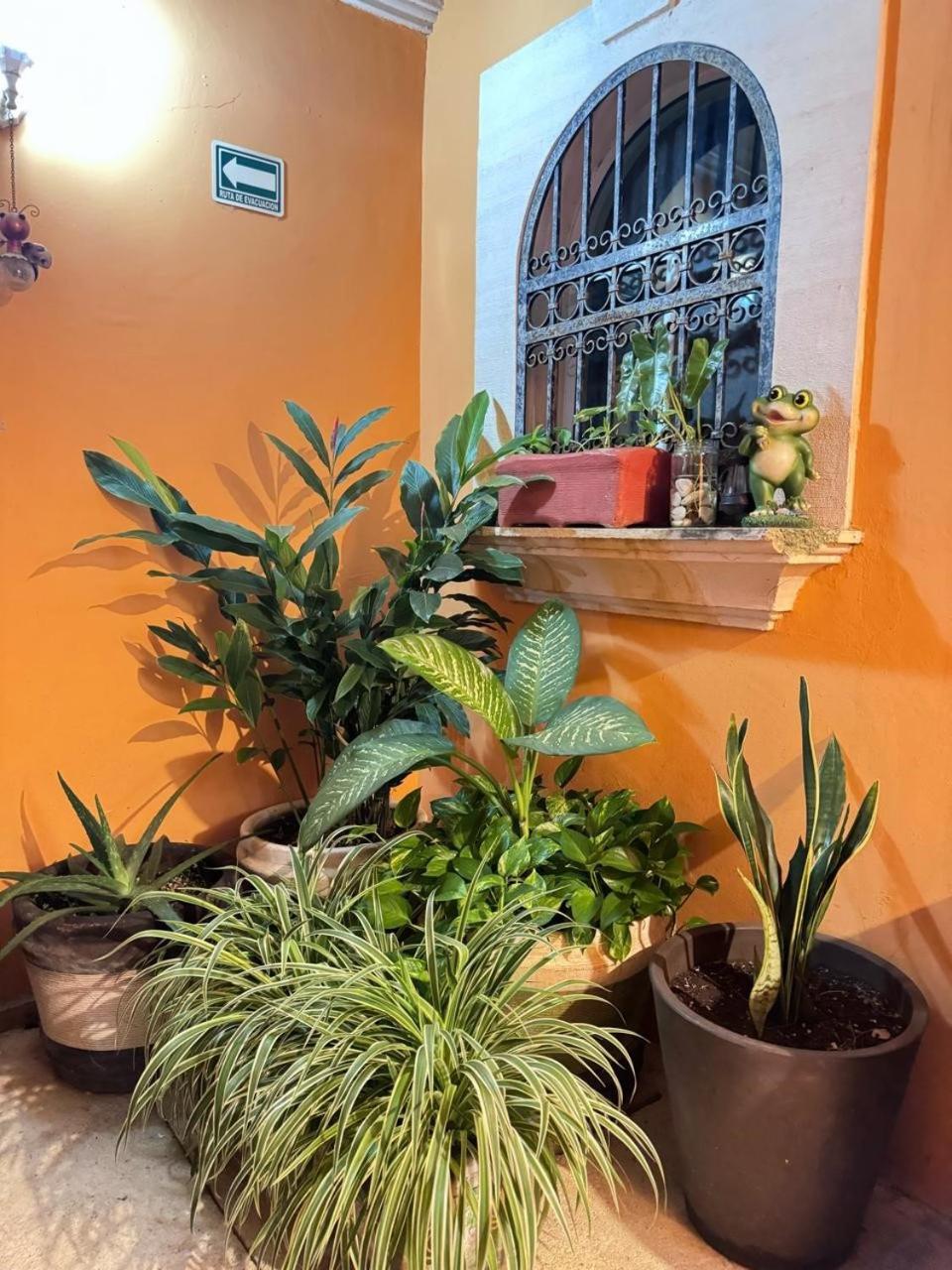 Hotel Casa Mallorca Канкун Экстерьер фото