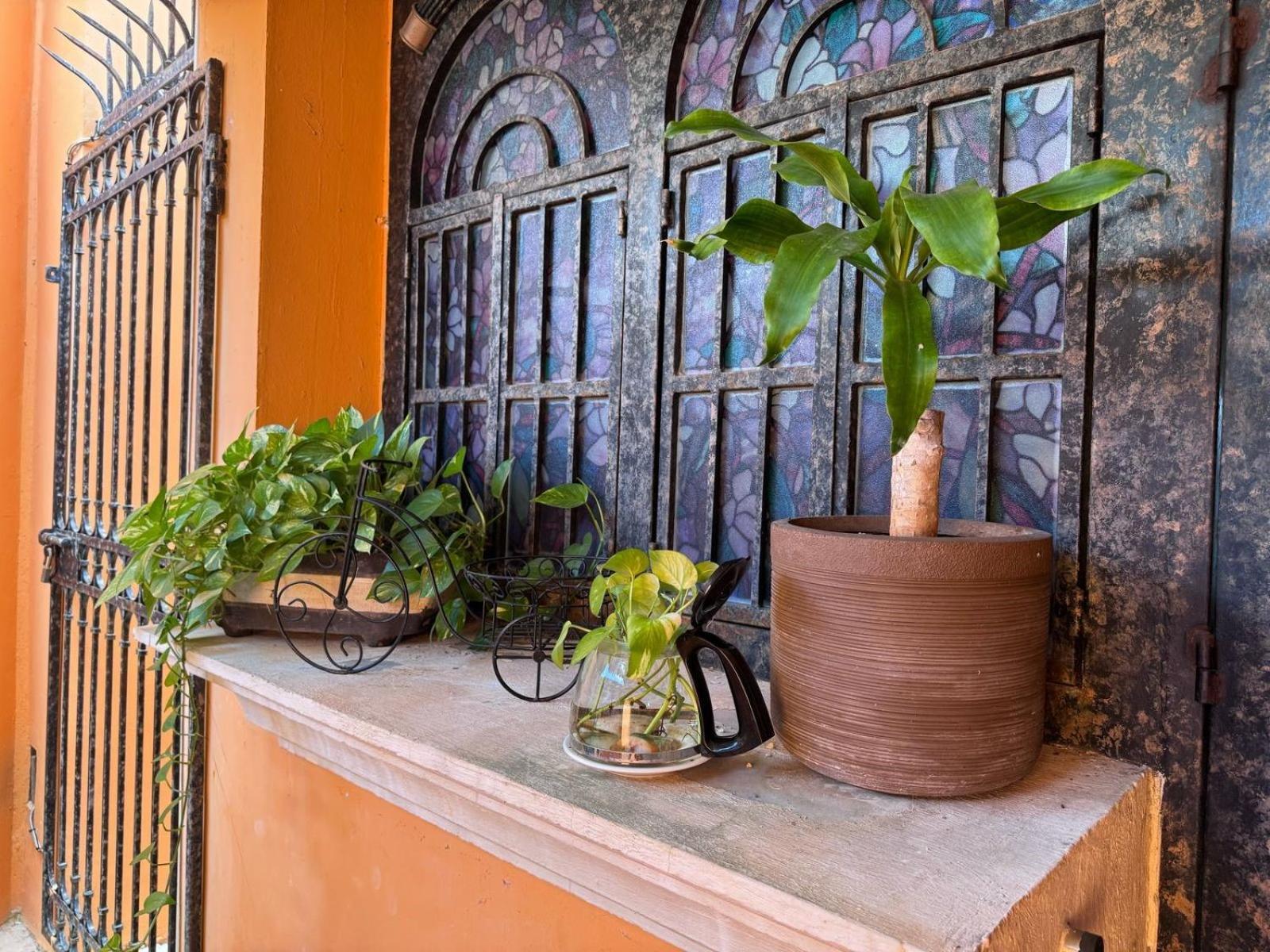 Hotel Casa Mallorca Канкун Экстерьер фото